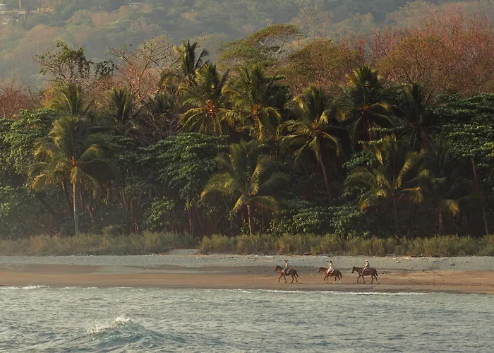 Hotel Santa Teresa By The Beach
